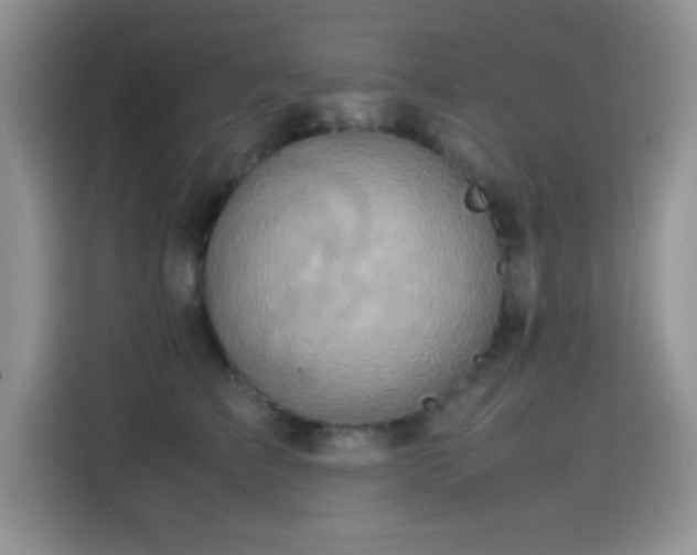 X0000115560709200911061553