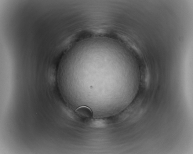 X0000115560710200911061553