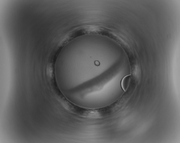 X0000115560715200911061553