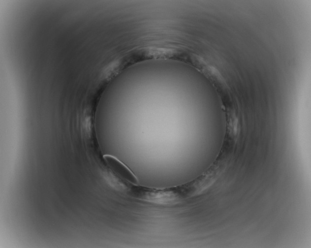 X0000115560716200911061553