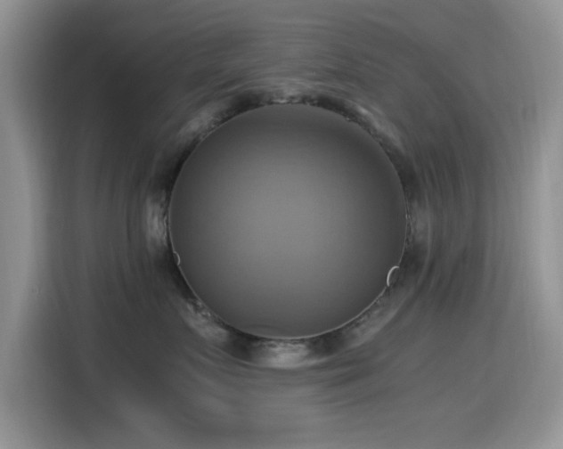 X0000115560719200911061553