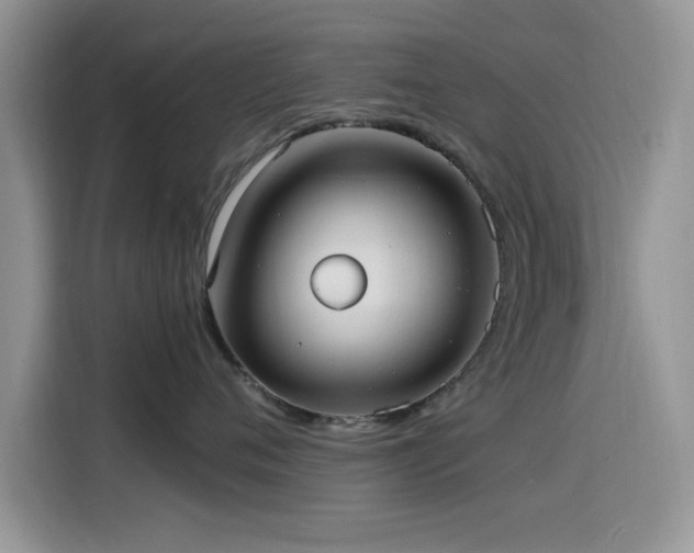 X0000115560720200911061553