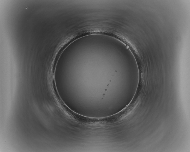 X0000115560721200911061552