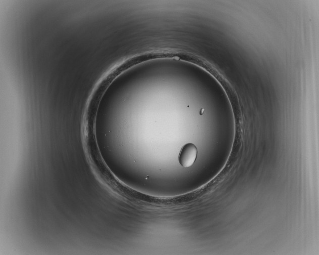 X0000115560726200911061552