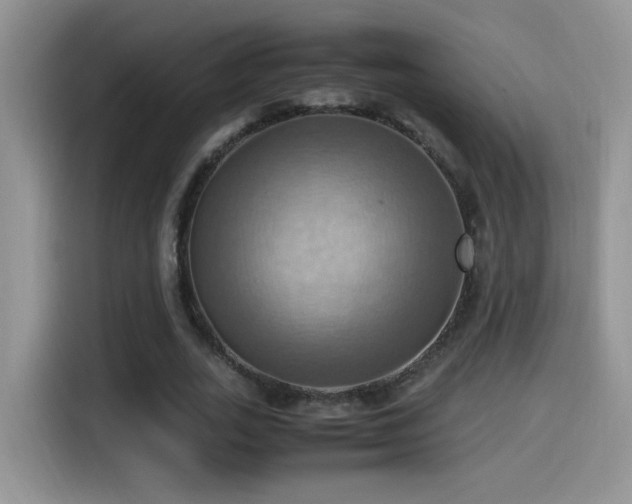 X0000115560727200911061552