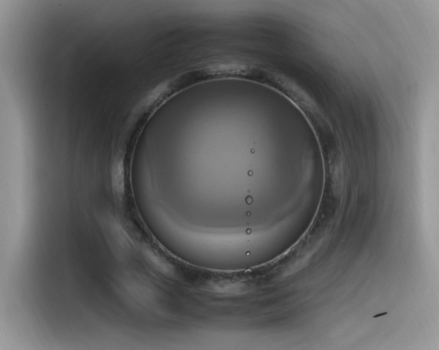 X0000115560729200911061552