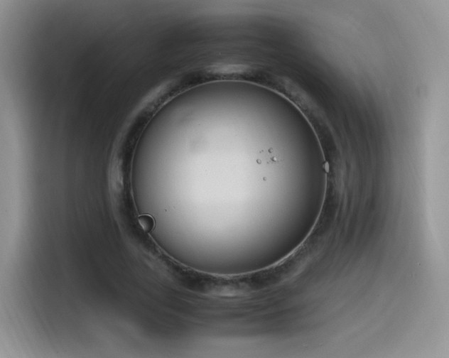 X0000115560731200911061552