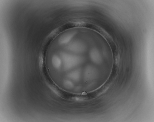 X0000115560733200911061552