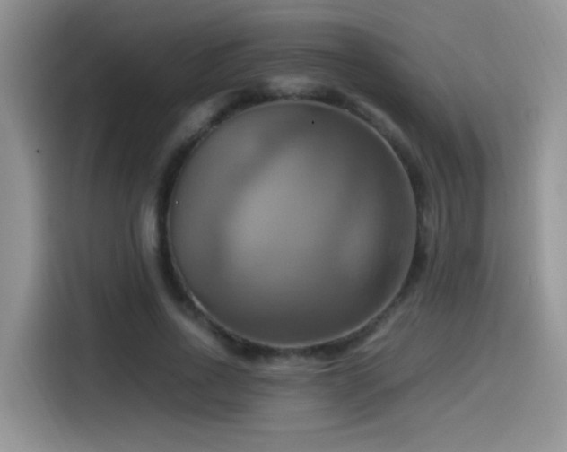 X0000115560734200911061552