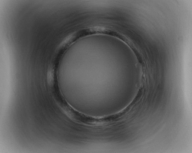 X0000115560735200911061552