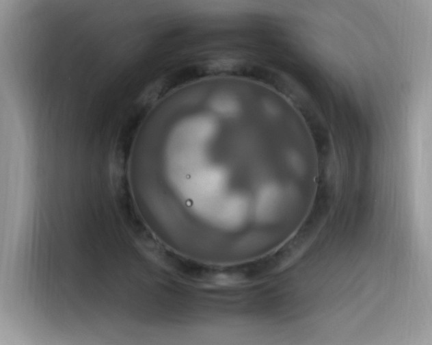 X0000115560737200911061552