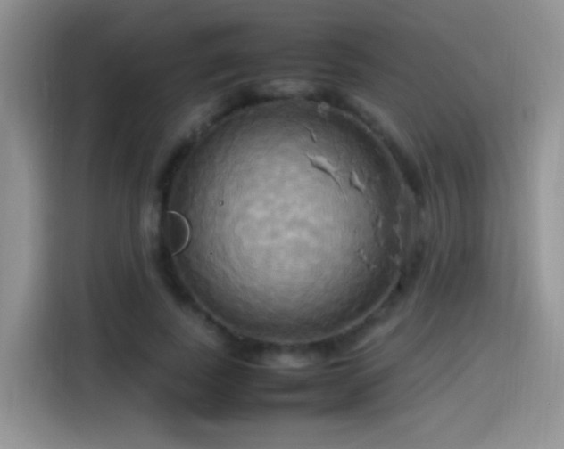 X0000115560739200911061553