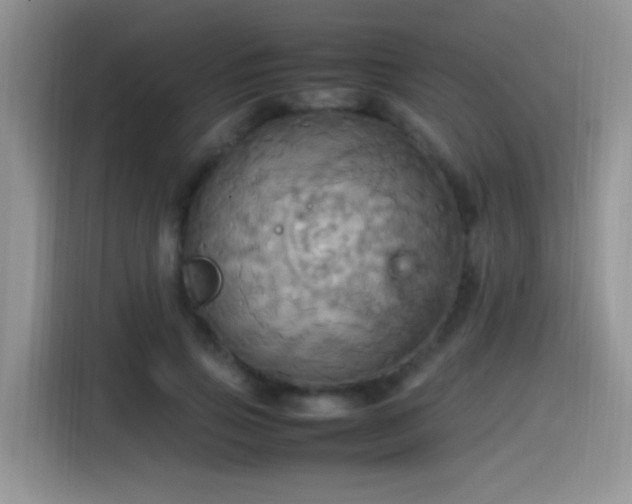 X0000115560741200911061553
