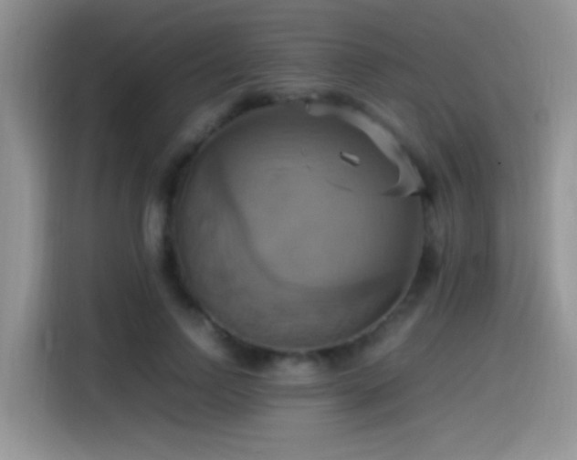 X0000115560742200911061553
