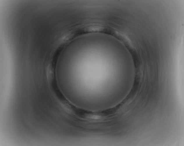 X0000115560743200911061553