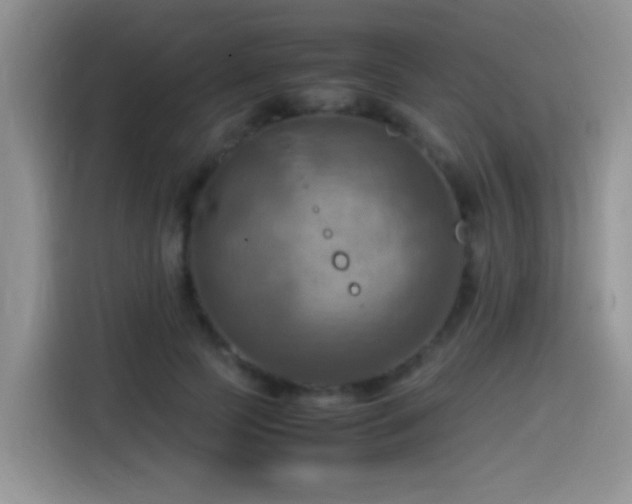 X0000115560745200911061553