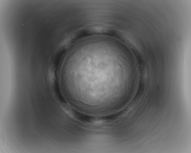X0000115560746200911061553