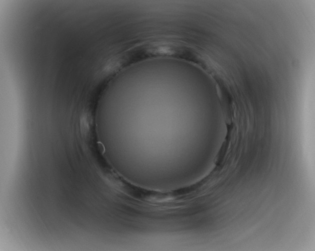 X0000115560747200911061553