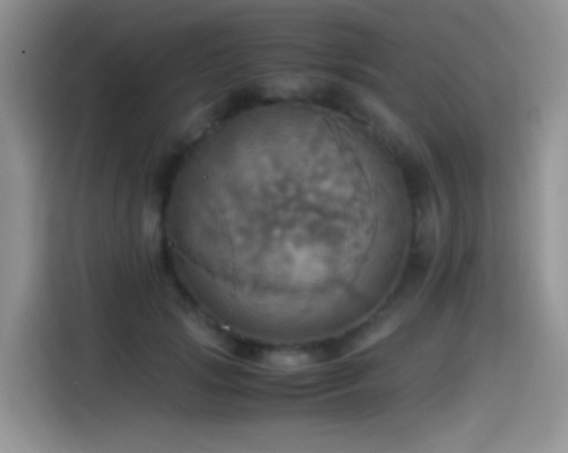 X0000115560749200911061553