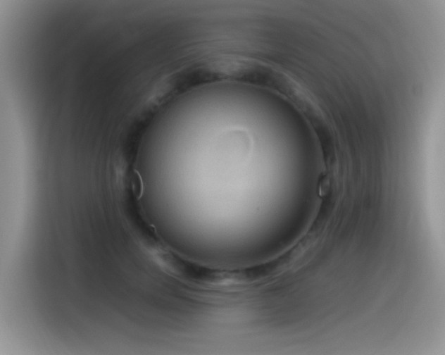 X0000115560750200911061553