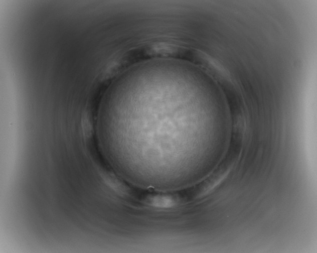 X0000115560751200911061553