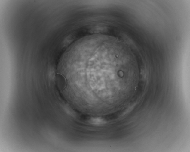X0000115560753200911061553