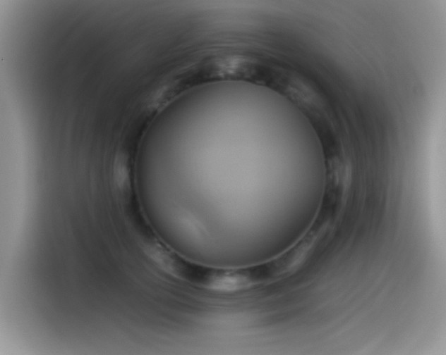 X0000115560754200911061553