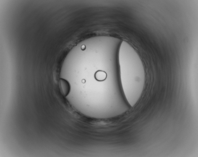 X0000115560755200911061553