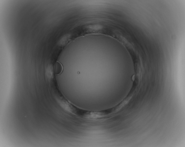 X0000115560758200911061553