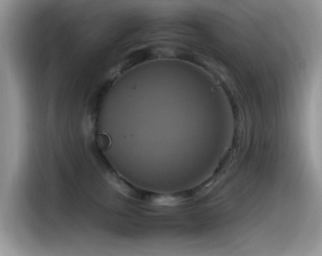 X0000115560759200911061553