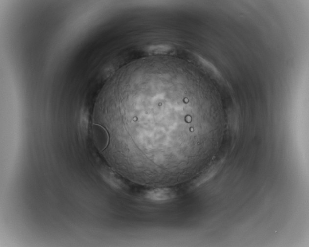 X0000115560761200911061553