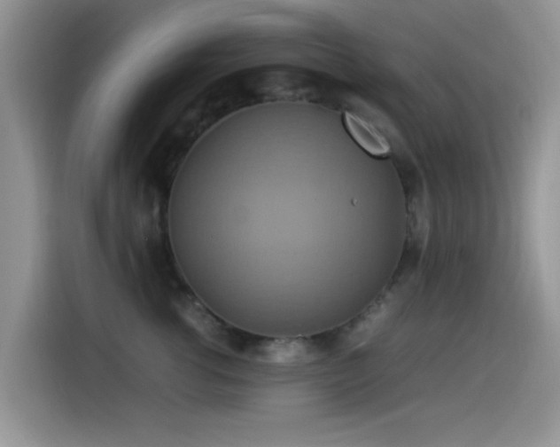 X0000115560762200911061553