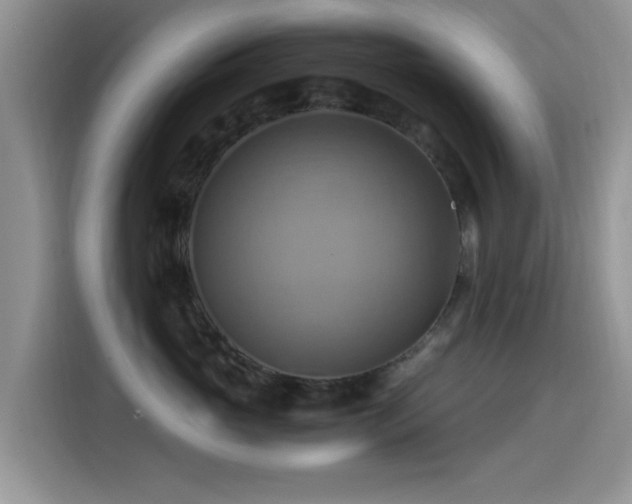 X0000115560765200911061553