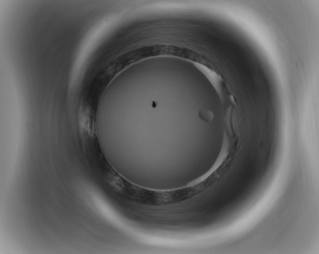 X0000115560766200911061553