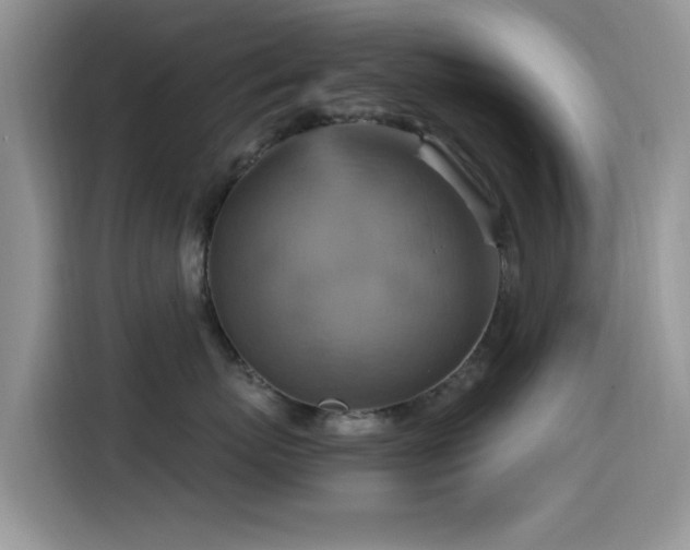 X0000115560767200911061553