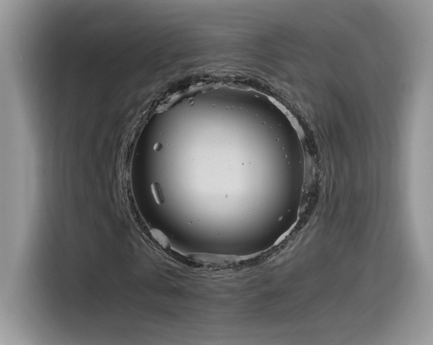 X0000115560769200911061552