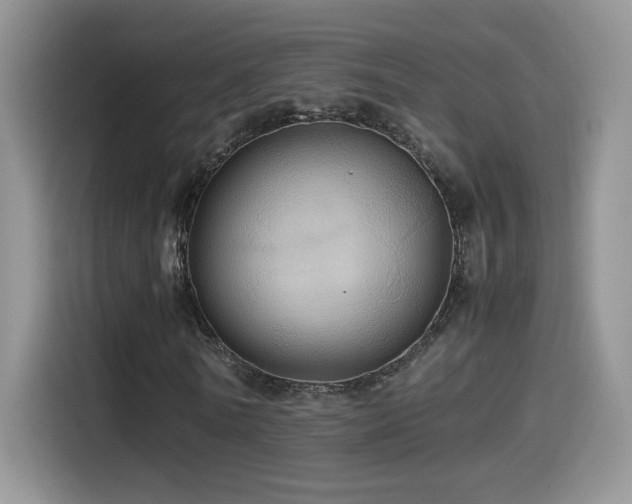 X0000115560770200911061552