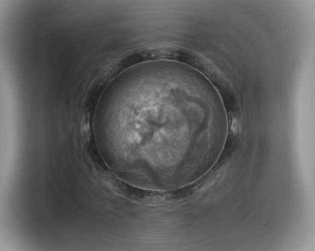X0000115560771200911061552