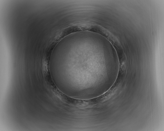 X0000115560772200911061552