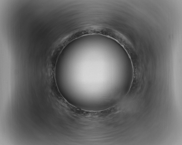 X0000115560773200911061552