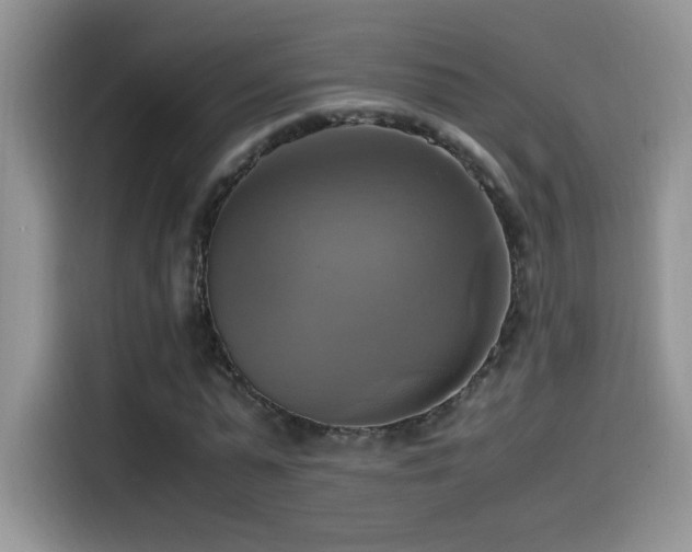 X0000115560775200911061552