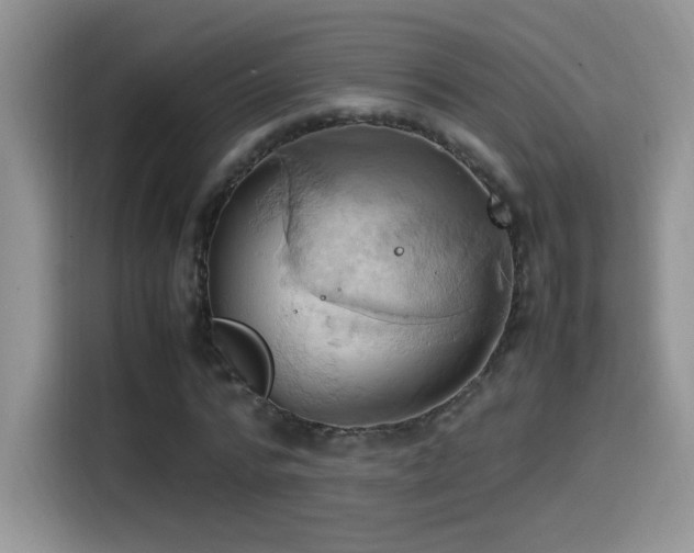 X0000115560776200911061552