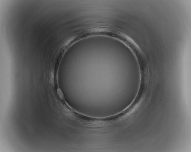 X0000115560777200911061552