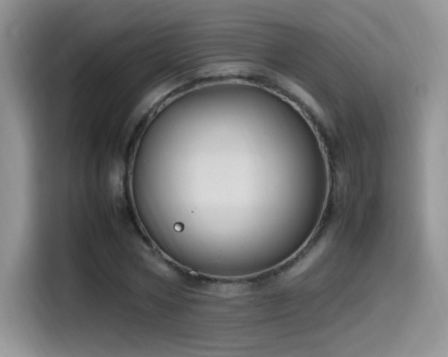 X0000115560778200911061552