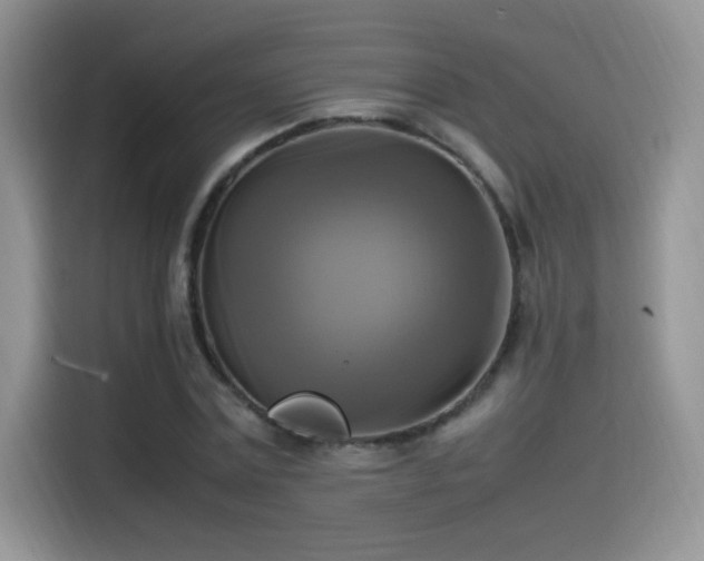 X0000115560779200911061552