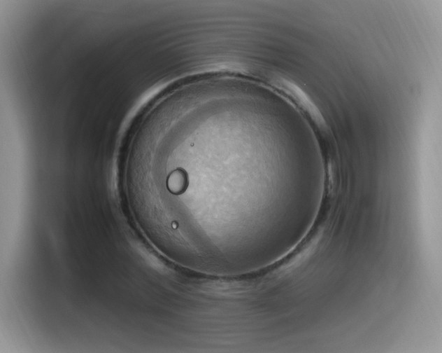 X0000115560780200911061552