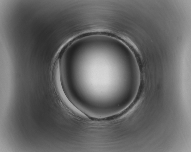 X0000115560781200911061552