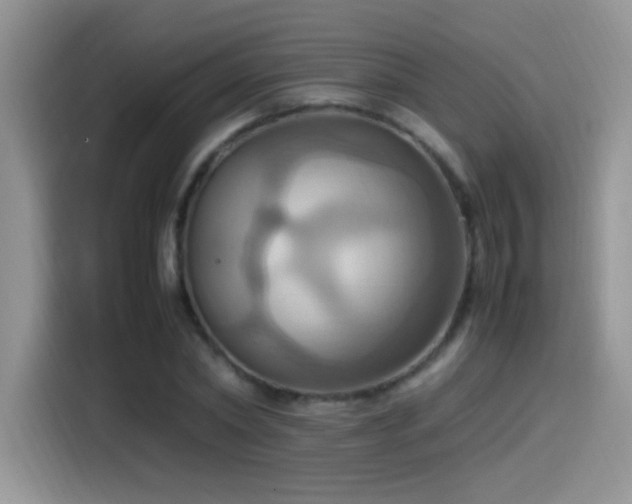 X0000115560782200911061552