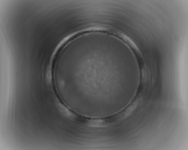 X0000115560784200911061552