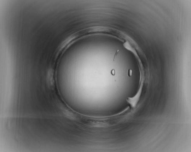 X0000115560786200911061552